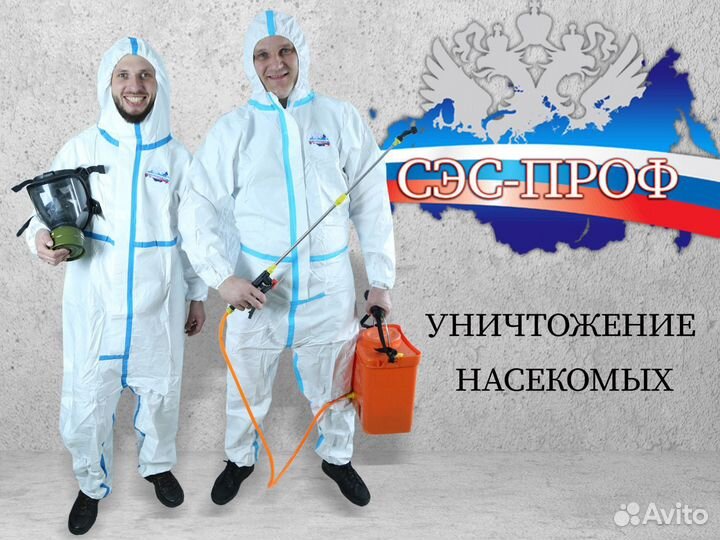 Уничтожение клещей, клопов, тараканы