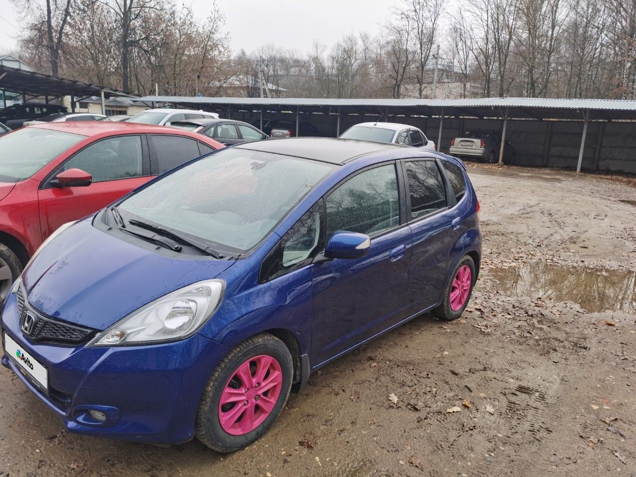 Honda Jazz: фото владельца