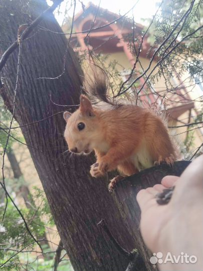 Индивидуальные экскурсии