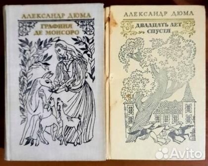 Графиня де Монсоро. Двадцать лет спустя. 2 книги