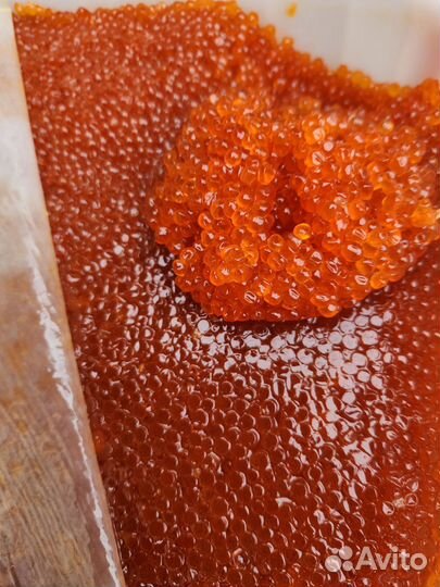 Красная икра горбуши 2024 опт Вест-Фиш