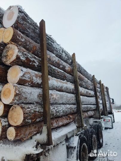 Пиловочник Деловой Кругляк