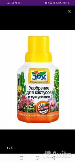 Удобрение для кактусов и суккулентов