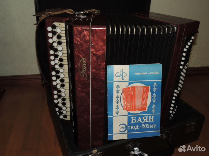 Гармонь Нотка и Аккордеон детские