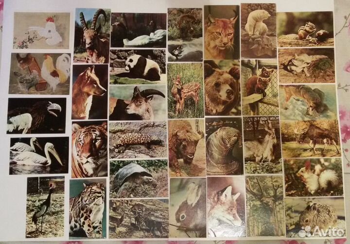 Открытки разные советские немецкие царские