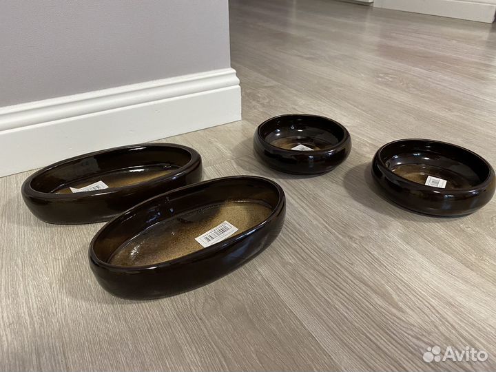 Бонсайницы