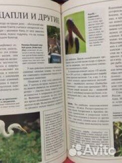 Энциклопедия