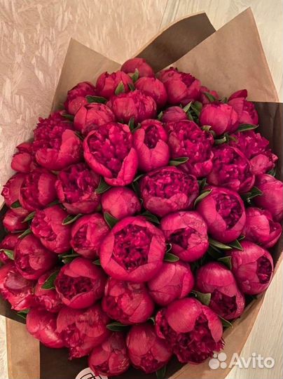 Пионы букет из пион / букет цветов