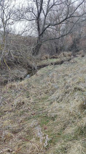 Участок 8,5 сот. (СНТ, ДНП)