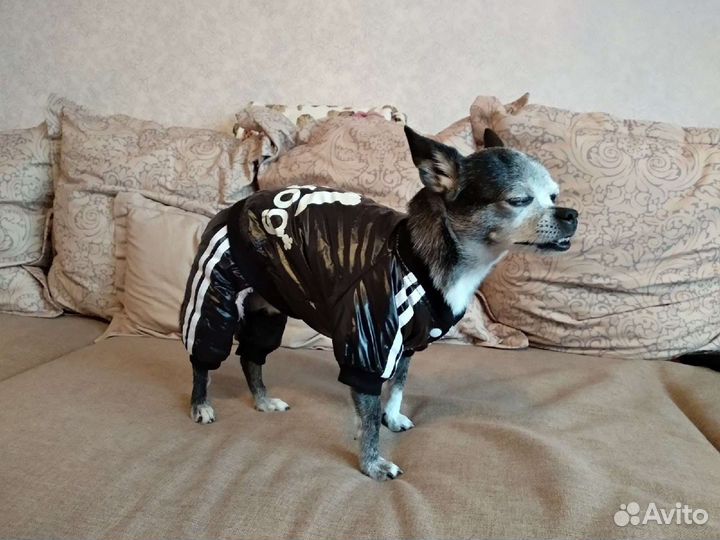 Куртка-комбинезон для маленьких собак