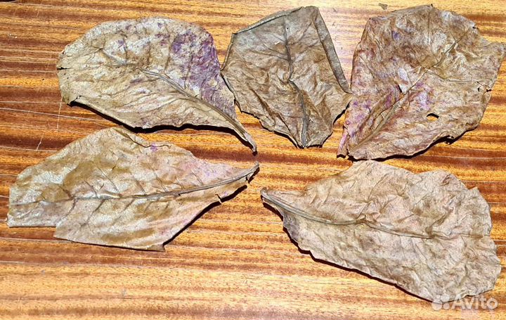 Шишки Амбрового дер., Листья Миндаля