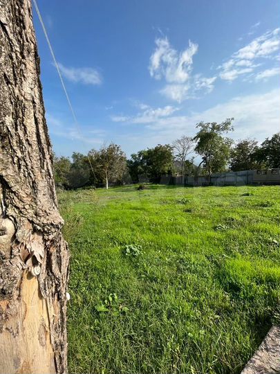 Участок 9,9 сот. (ИЖС)