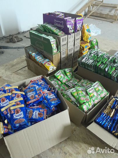 Влажный Корм для кошек, собак Kitekat 1000+ шт