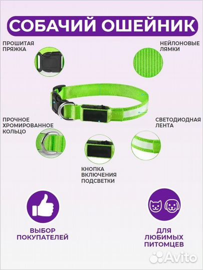 Ошейник для собак светящийся