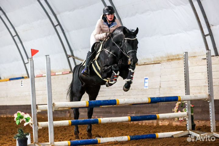 Тренировки по конному спорту и верховой езде