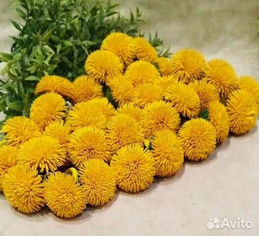 Резинки одуванчики