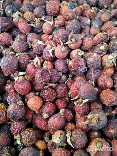 Шиповник сушеный