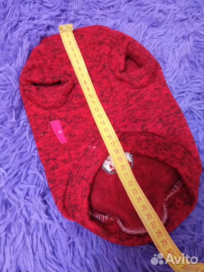 Одежда для котят