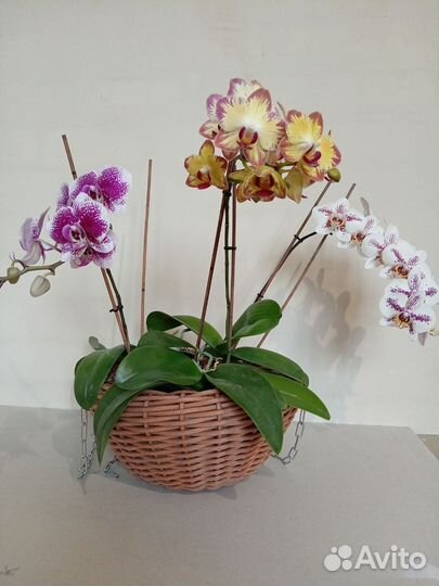 Подвесное кашпо из искусственного ротанга