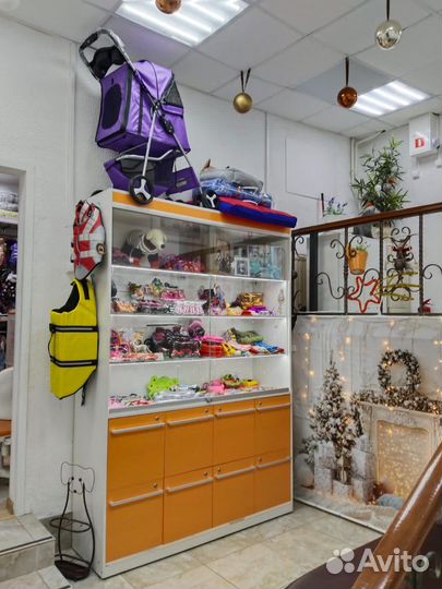 Одежда для собак