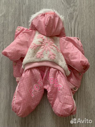 Одежда для собак