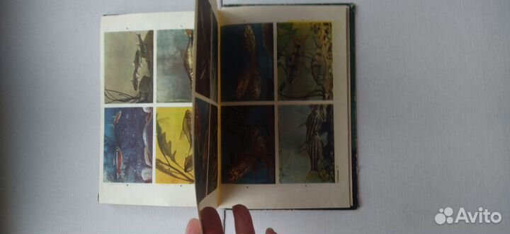 Книга про аквариумы и рыбоводству