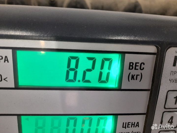 Колодка тормозная задняя Renault Kerax