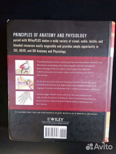 G. Tortora, B. Derrickson. Principles of anatomy