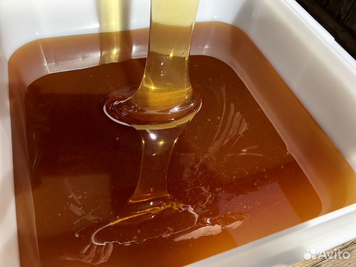 Мед оптом из Алтая