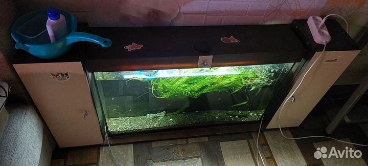Аквариум