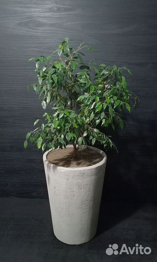 Горшки, Вазоны, Кашпо под заказ из бетона