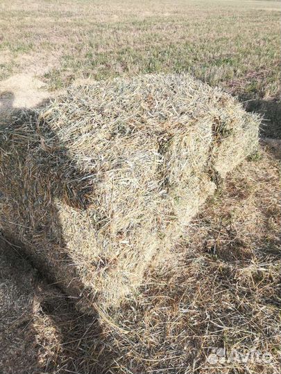 Сено, Солома в тюках