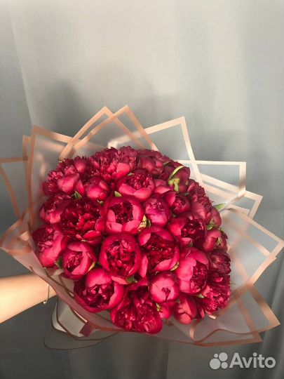 Букет из 35 бордовых пионов