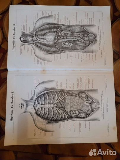 Коллекция гравюр 19 век, оригиналы 130шт Европа