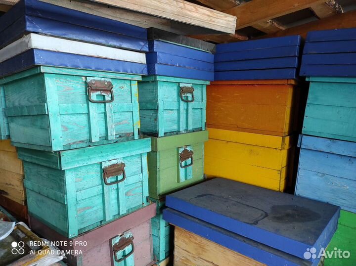 Пчелы улья пасеку