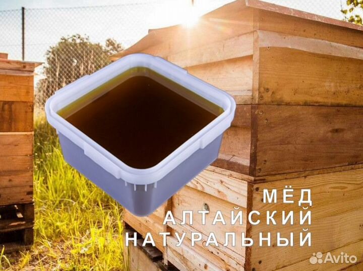 Мёд натуральный с Алтая опт