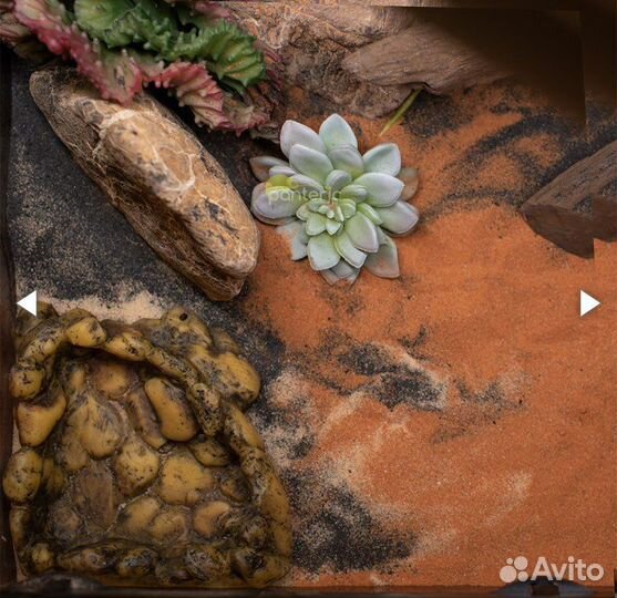 Поильник для террариума Exo terra