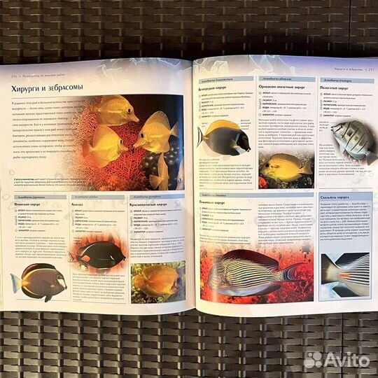 Энциклопедия аквариумных и прудовых рыб, Альдертон