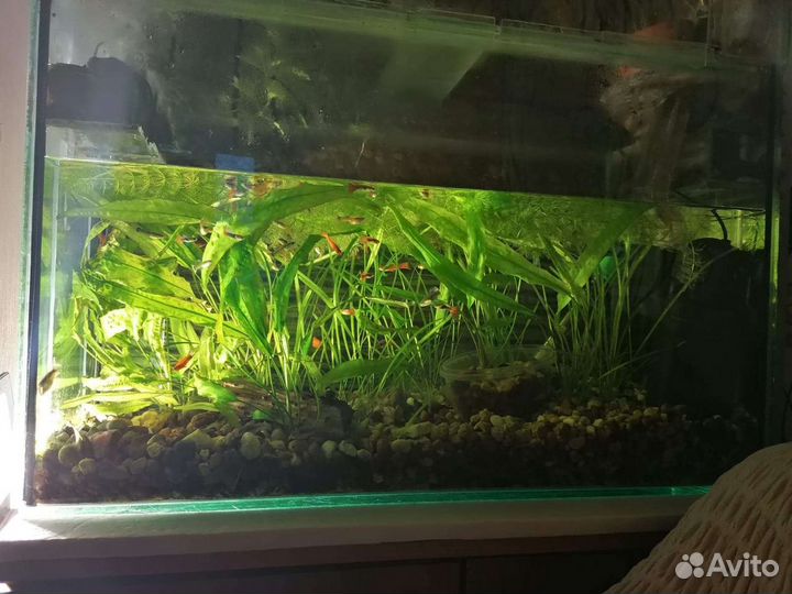 Аквариум высокий 120л