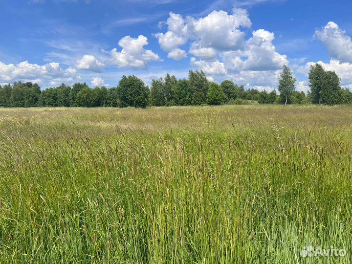 Сено в тюках брикетах корм с доставкой