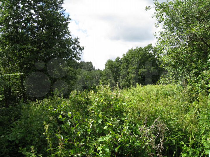 Участок 4,35 га (СНТ, ДНП)