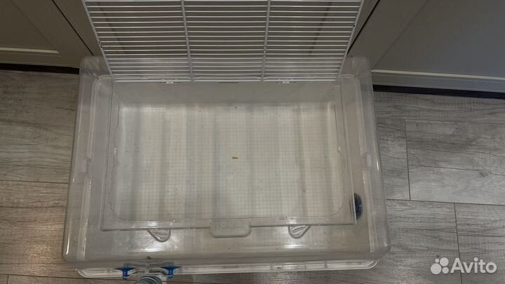 Клетка для грызунов с принадлежностями