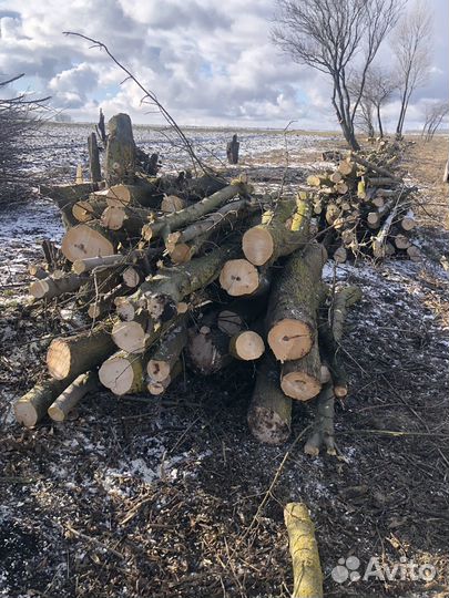Дрова бесплатно самовывоз
