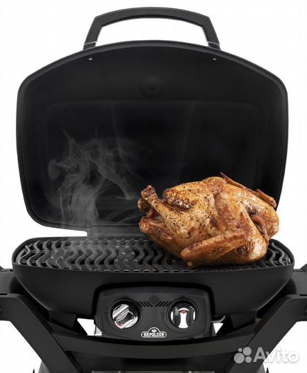 Портативный газовый гриль Napoleon TravelQ PRO 285
