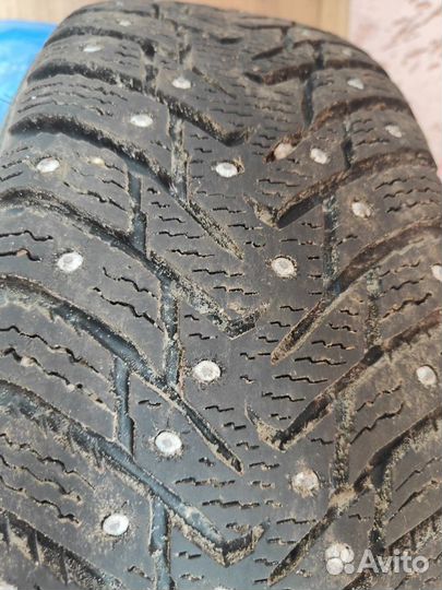 Nokian Tyres Hakkapeliitta 8 175/65 R14