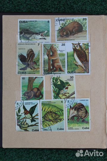 Марки СССР Фауна разных стран