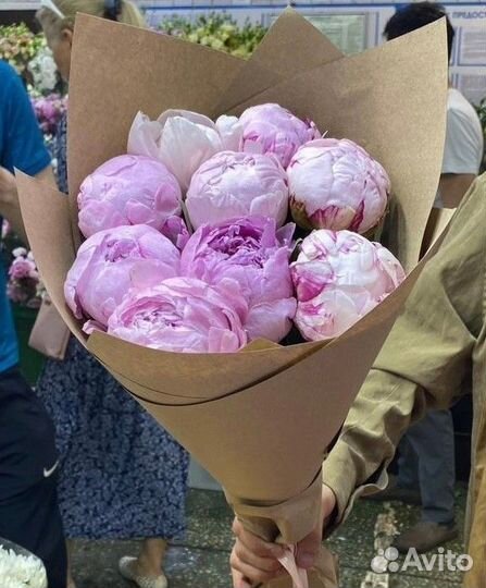 Пионы букеты цветы