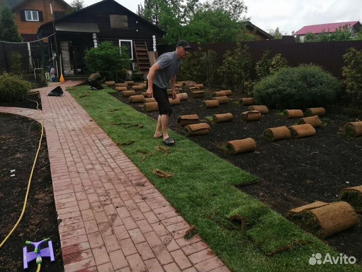 Рулонный газон с укладкой и гарантией