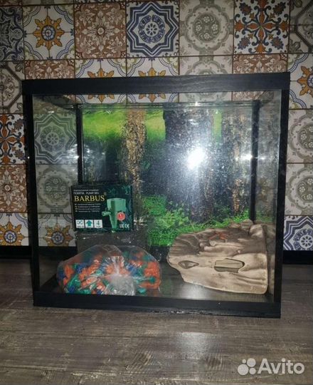 Аквариум для рыбок и черепах