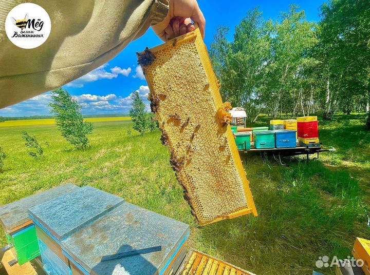 Мед натуральный липовый гречишный